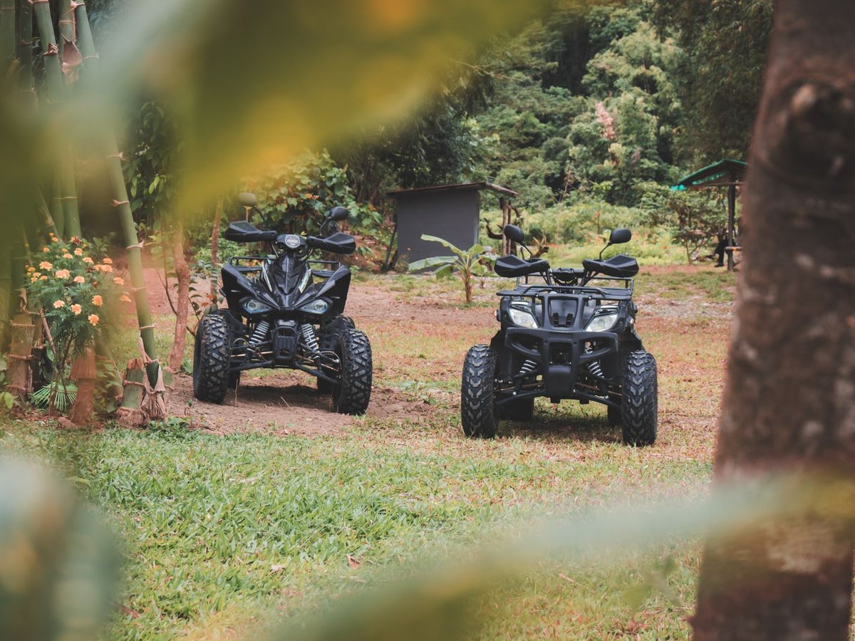 Two black ATV quad bikes parked ready for a jungle tour among bamboo and tropical trees
