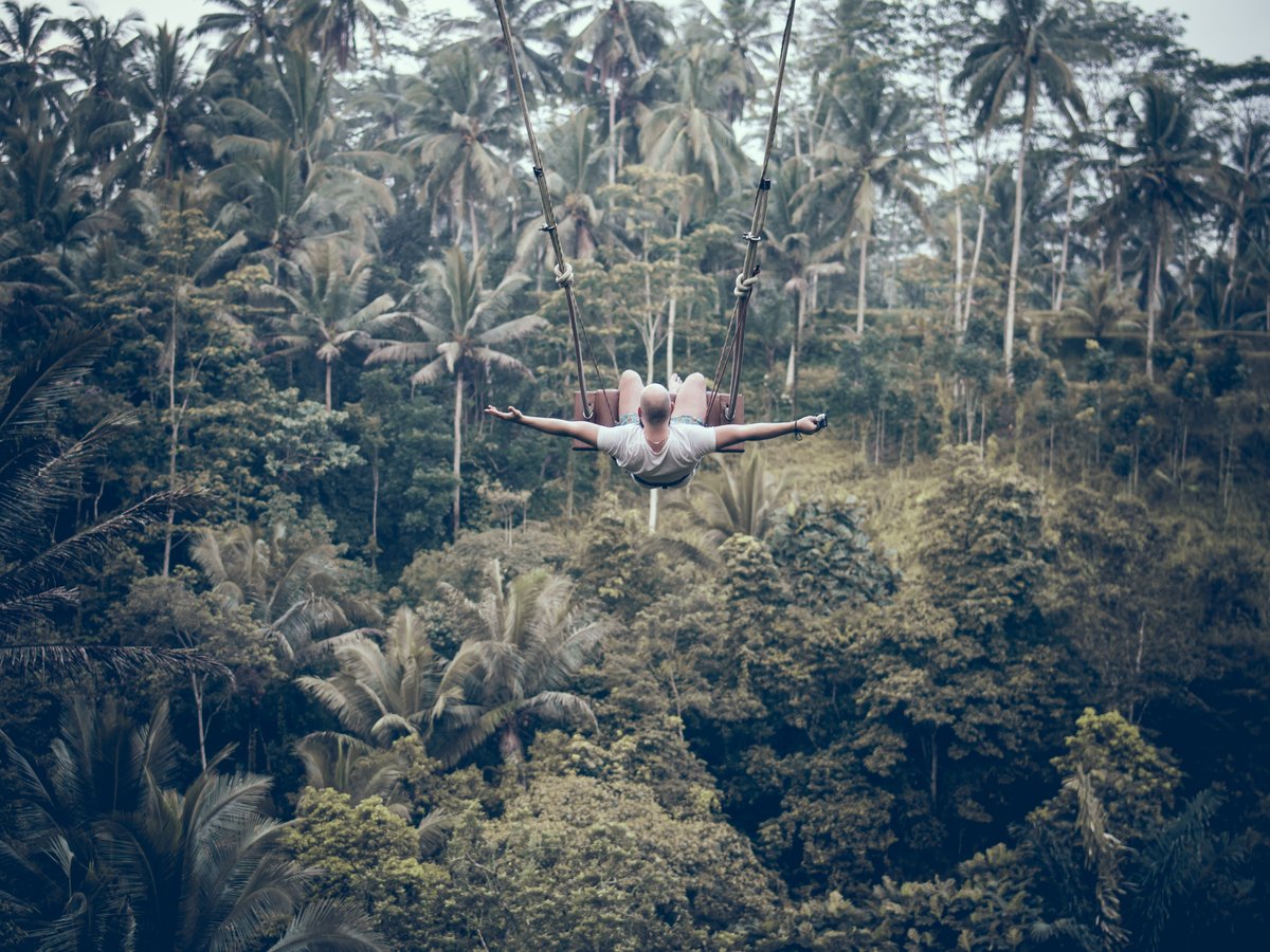 Bamboo bird nest photo platform on a cliff edge above the jungle at a Bali swing park in Ubud