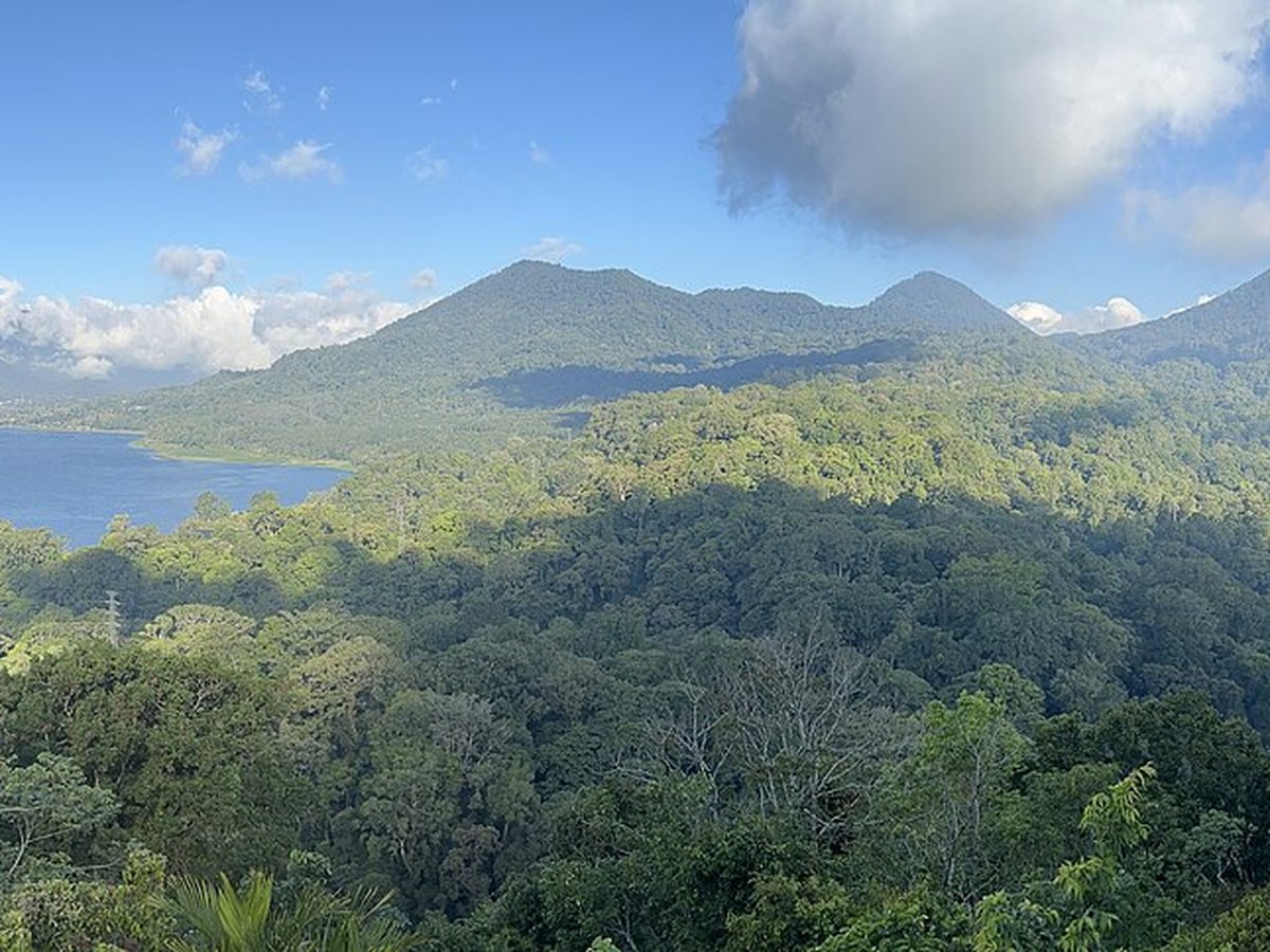 Wanagiri Hidden Hills wooden platform overlooking Lake Buyan and Lake Tamblingan in north Bali