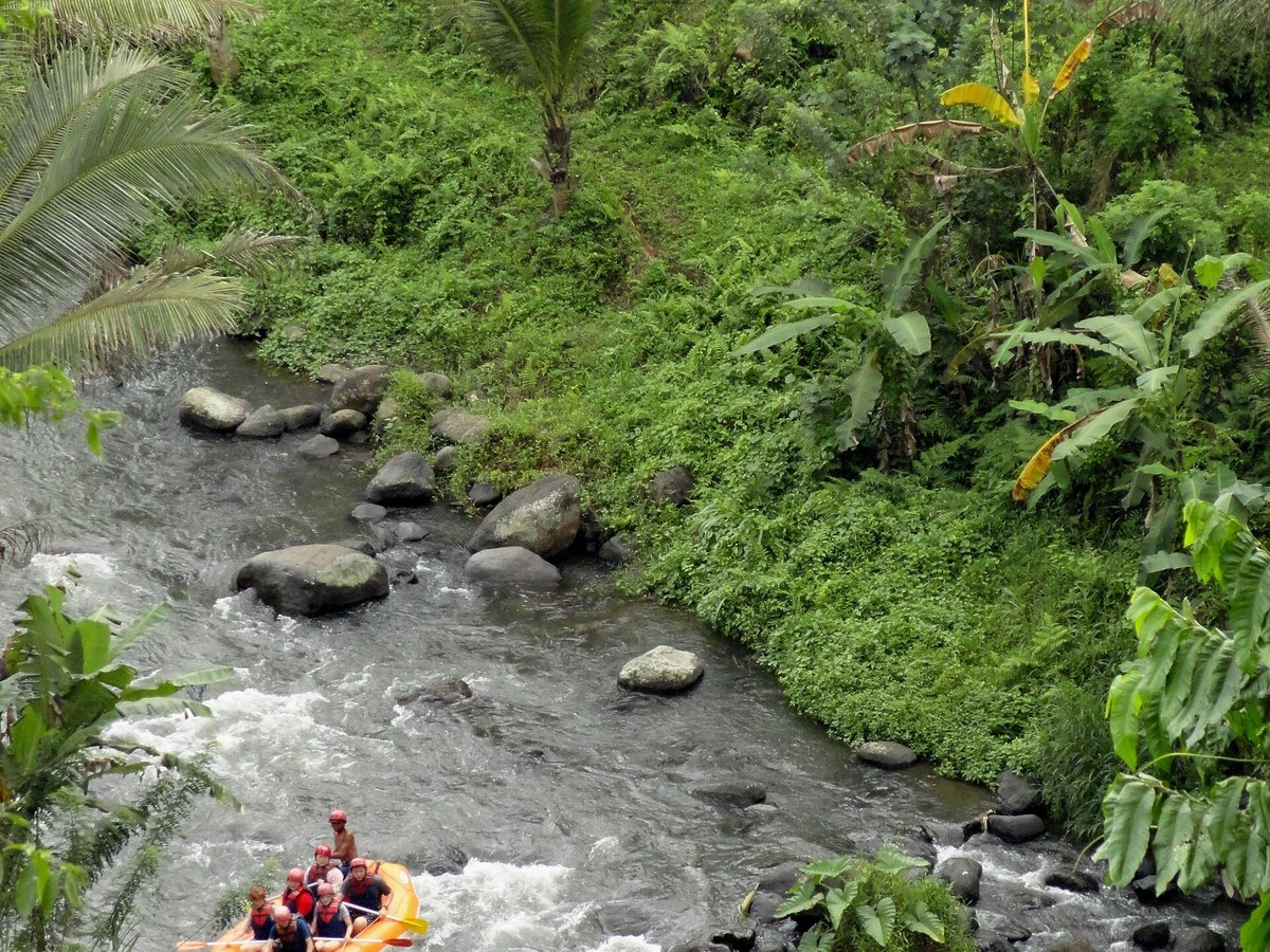 Ramayana stone reliefs carved into the cliff wall beside the Ayung river in Bali
