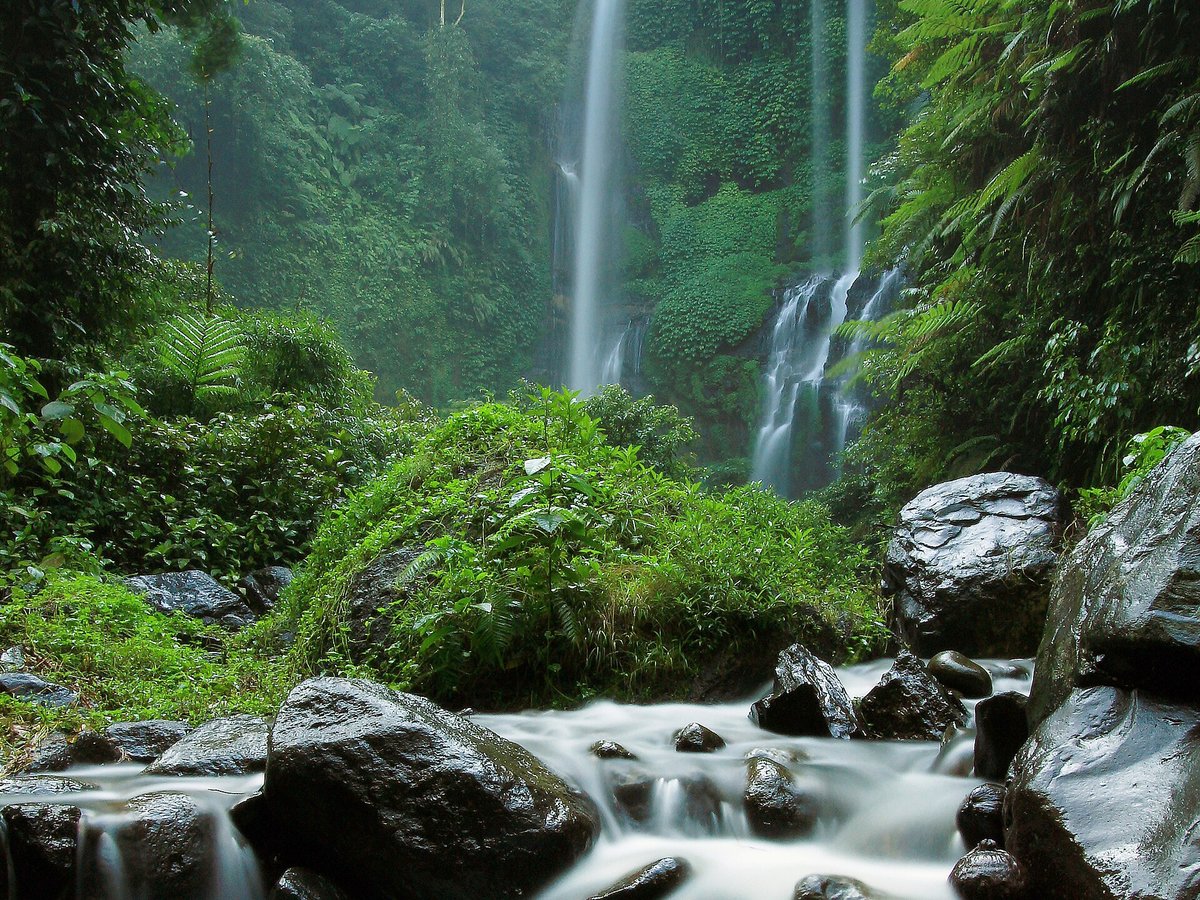 Steep jungle staircase and river crossing on the trek to Sekumpul waterfall in north Bali