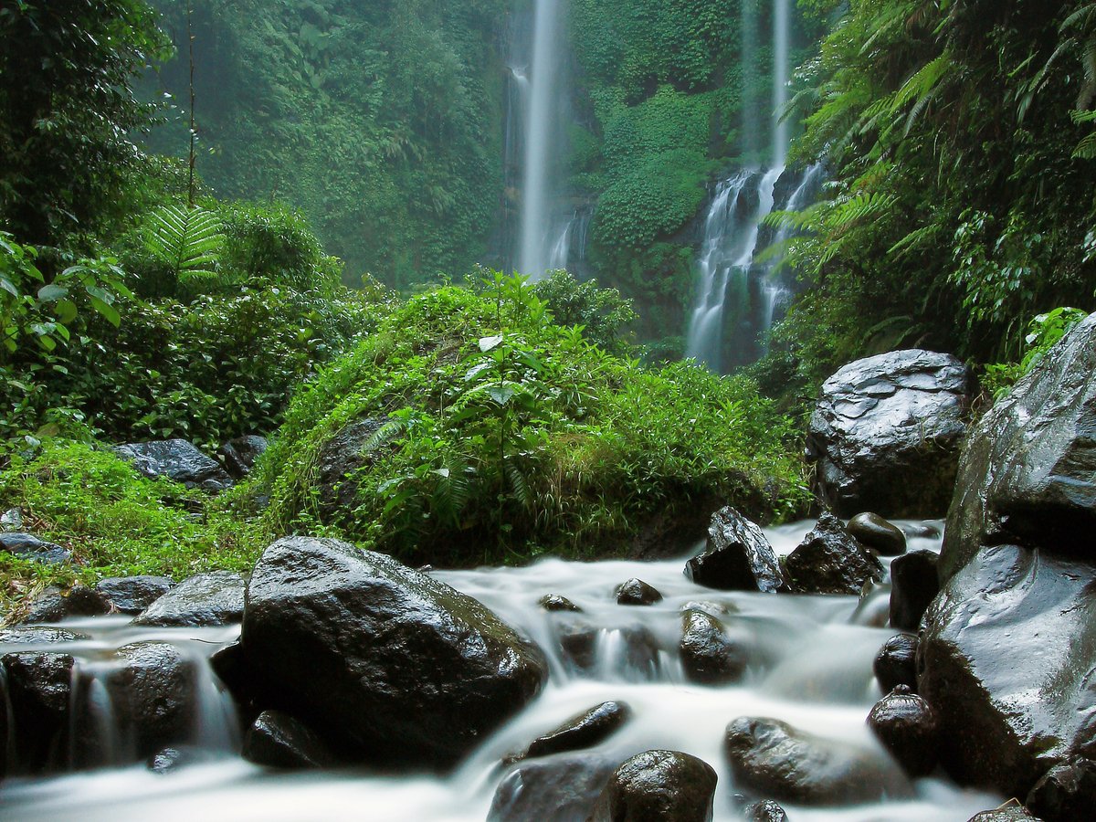 Sekumpul waterfall in north Bali with multiple tall cascades falling into a green jungle gorge